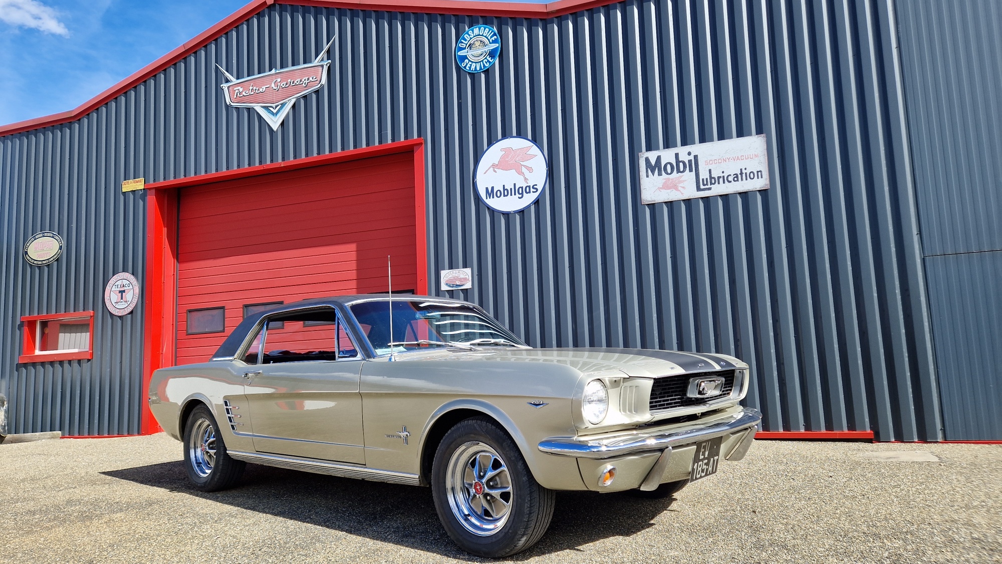 MUSTANG PONY 1965 V8 AMERICAINE DE COLLECTION